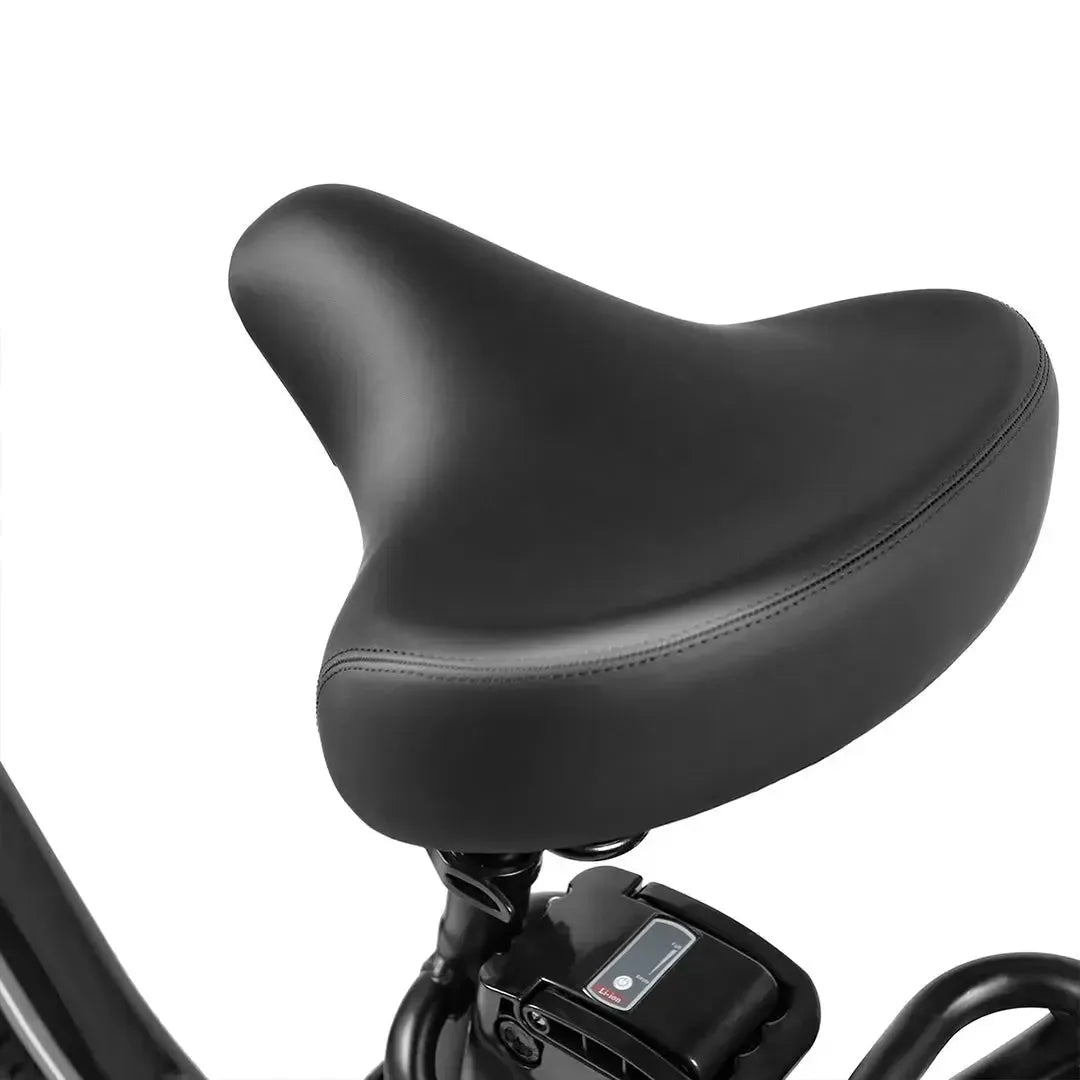 SAMEBIKE C05 Pro Foldable Fat Tyre E-Bike