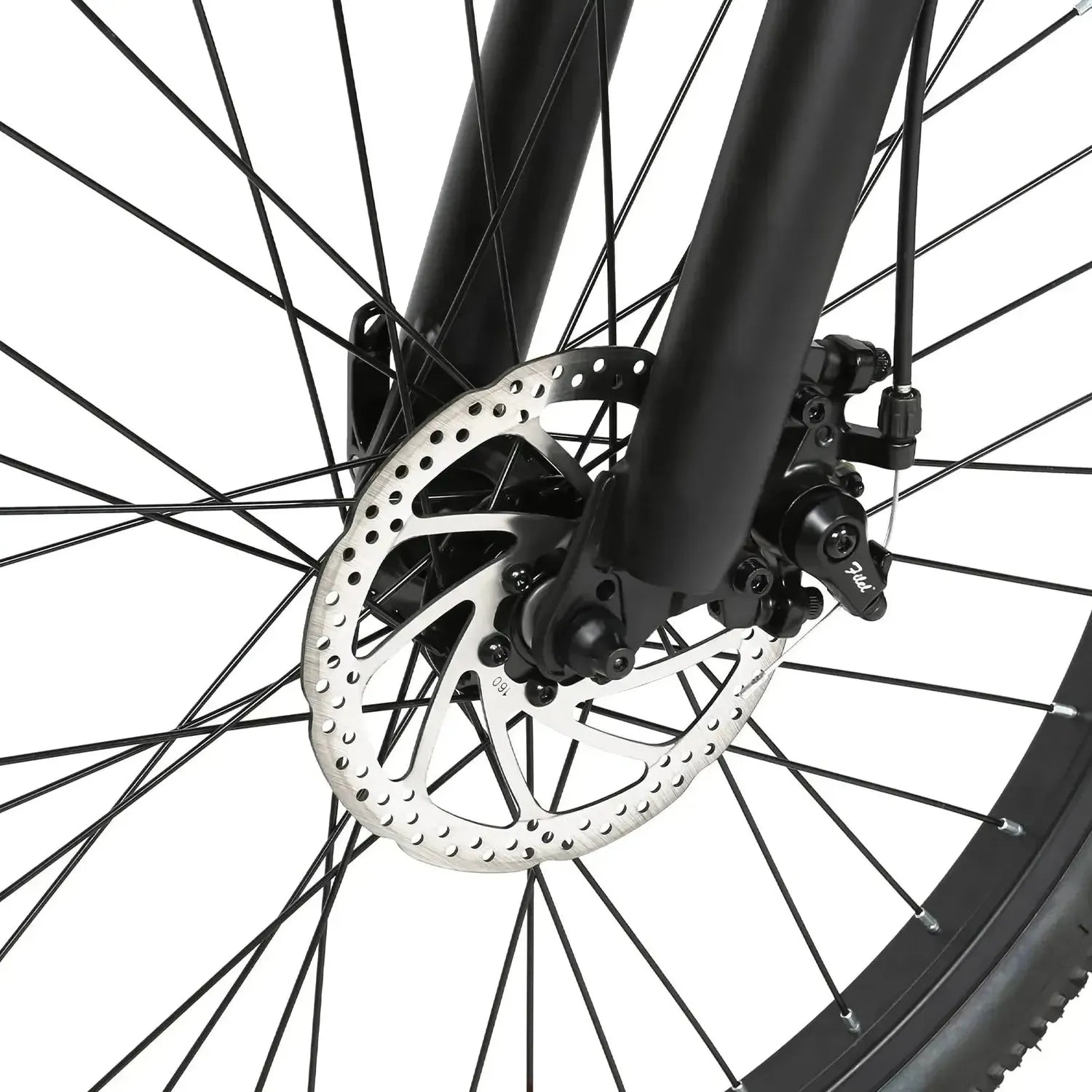 SAMEBIKE EBE2 Mountain Electric Bike exclusive at Punk Ride