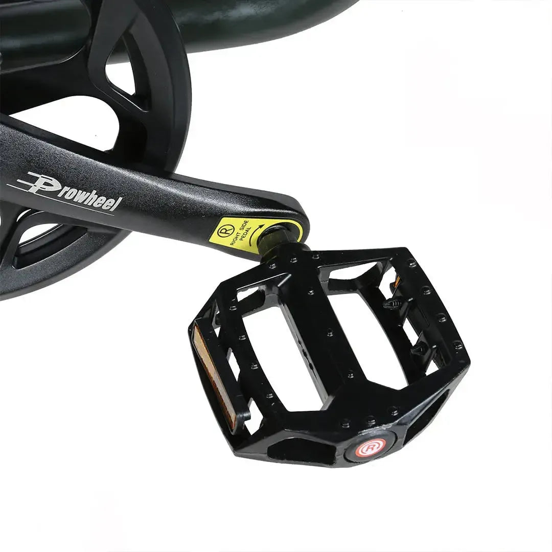 SAMEBIKE M20 III Fat Tyre Electric Bike