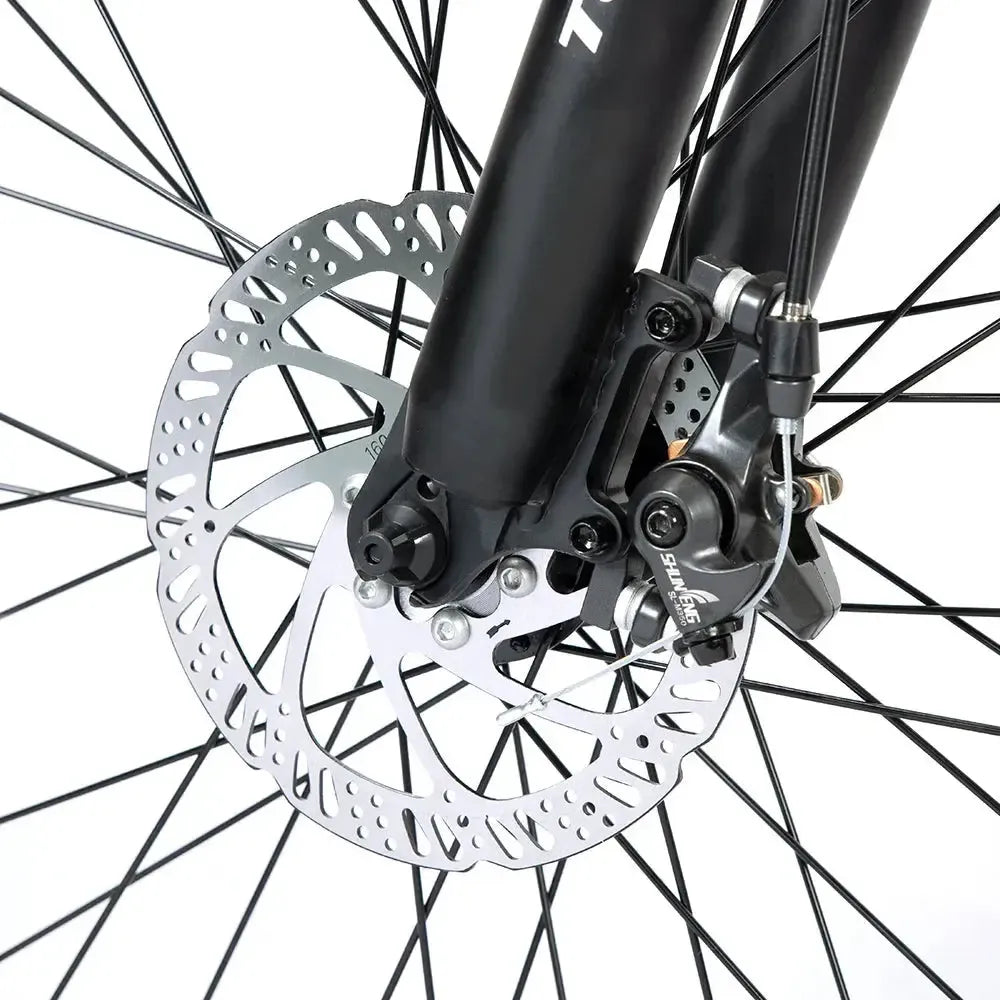 TOUROLL U1 Mountain Electric Bike