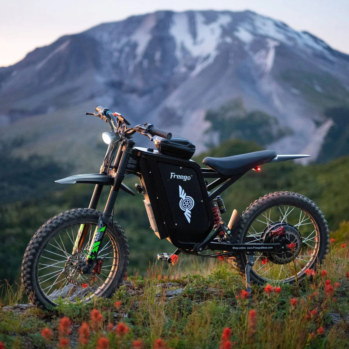 Freego X3 Pro electric dirt bike on an off-road trail