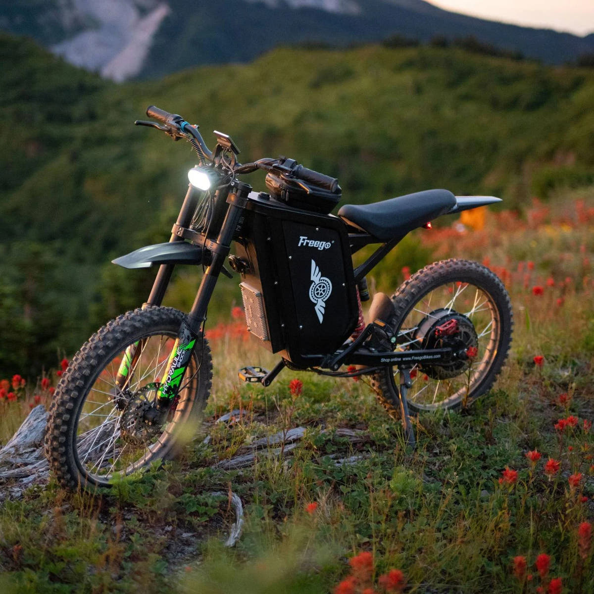 Freego X3 Pro electric dirt bike in a mountain meadow
