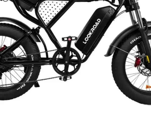 LOOKROAD L20 electric bike motor, crank and wheel component detail