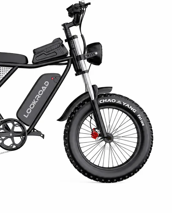 LOOKROAD Q30 electric bike front wheel, fork and brake detail