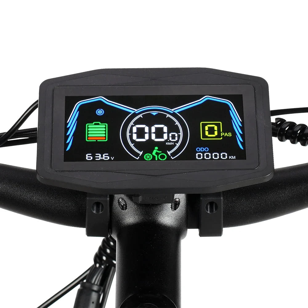 PHILODO Forester color LCD display and controls