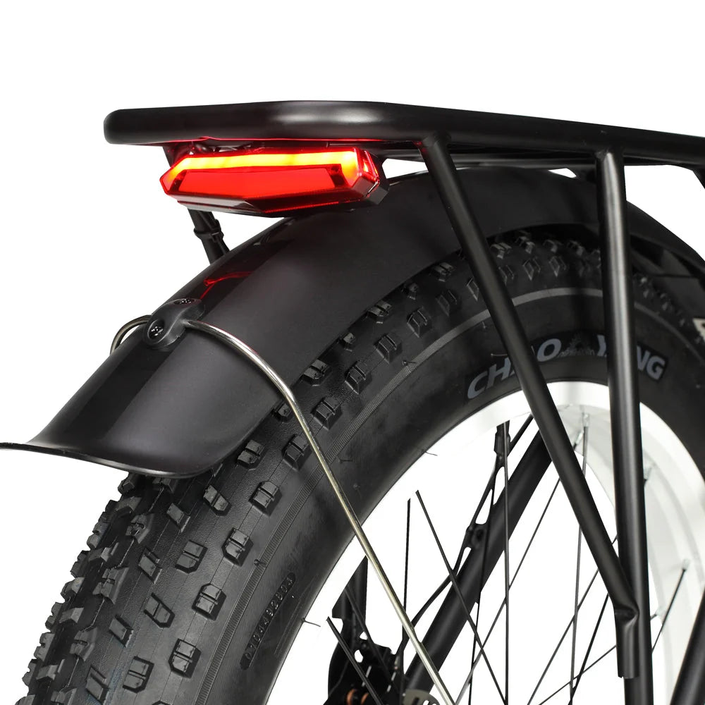 PHILODO H8 rear brake light and rack
