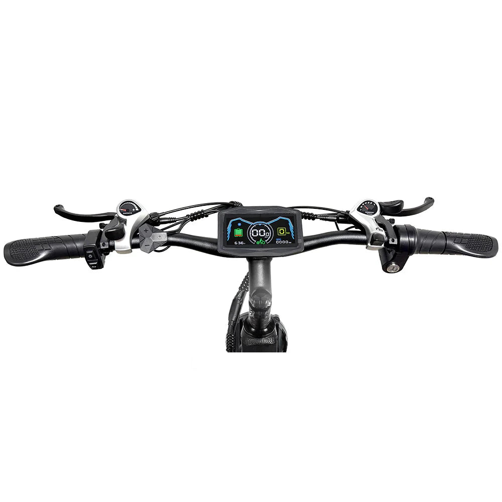 PHILODO H8 handlebar controls and color display