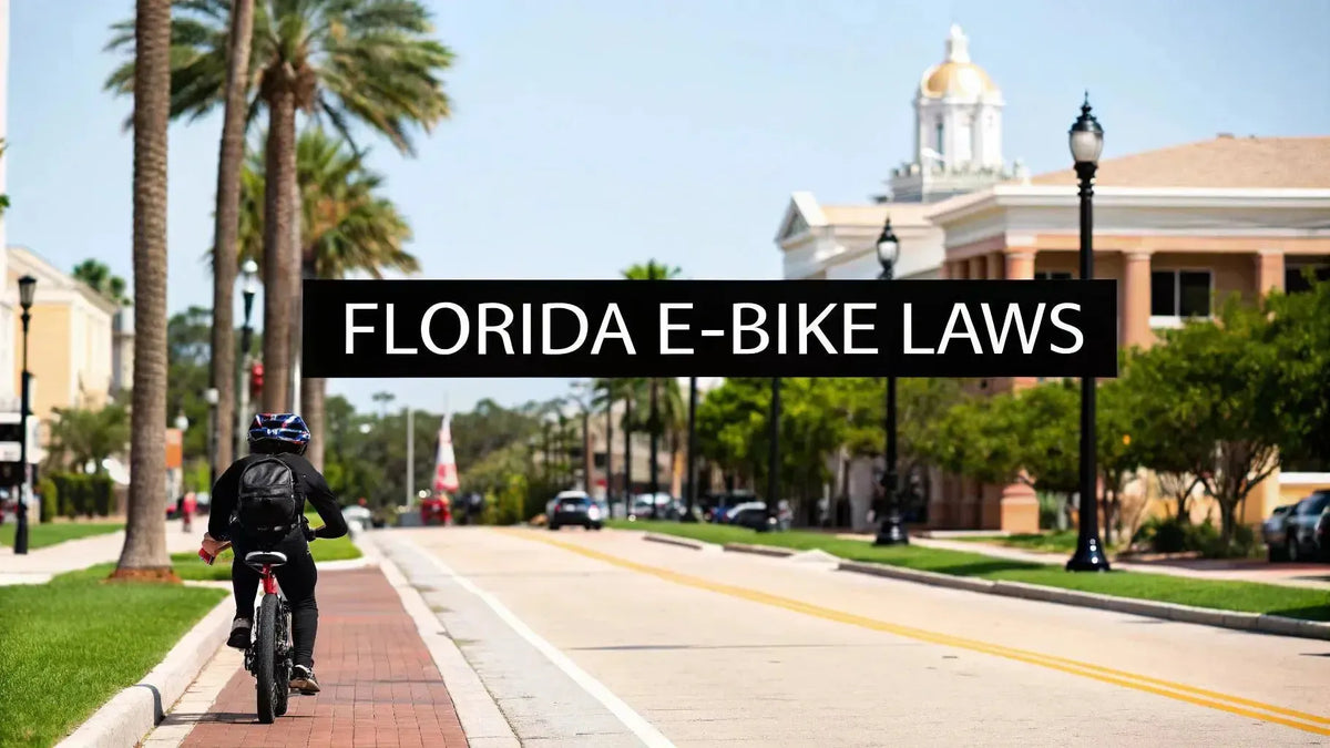 Verstehen der Gesetze fr Elektrofahrrder in Florida | Wesentlicher L   Punk Ride