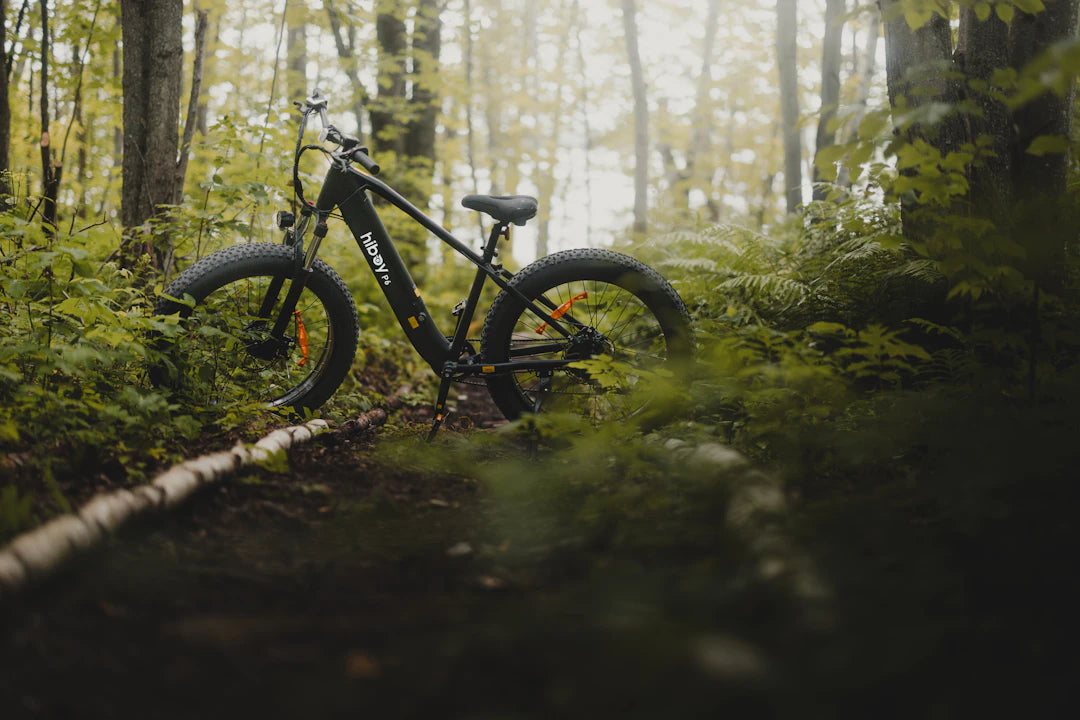 Fat Tire Electric Bikes for Stability and Comfort