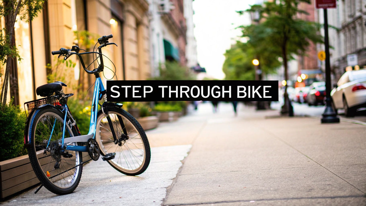 What Is a Step Through Bike and Why You Might Want One – Punk Ride