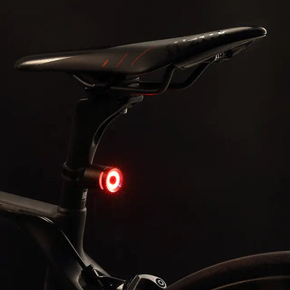 Bicycle Tail Light Warning Light for Safety