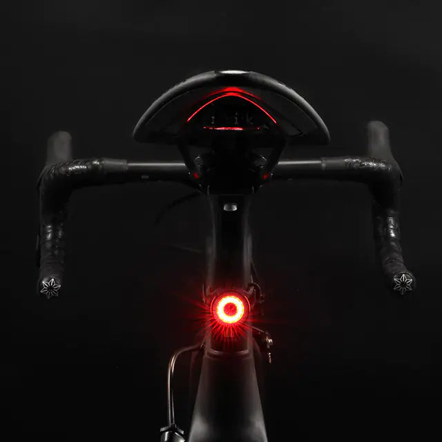 Bicycle Tail Light Warning Light for Safety