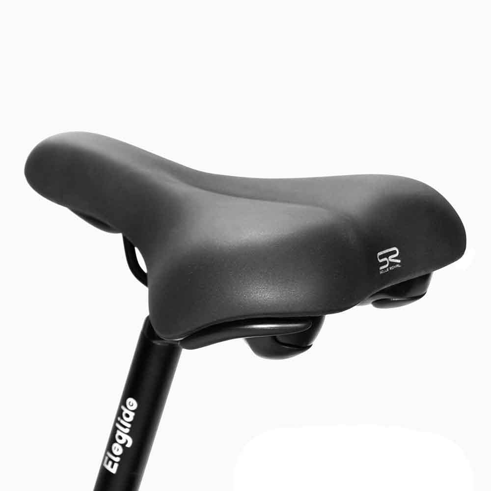 ELEGLIDE T1 Step-Thru Trekking E-Bike