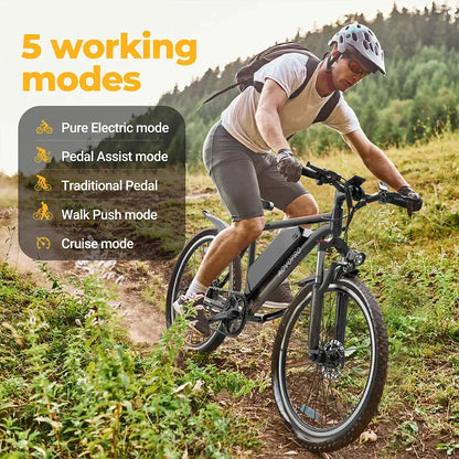 AOVO Pro BK90 / BK520 Electric Bike