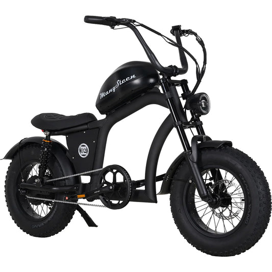 Mangosteen FT02 Mini E-Bike
