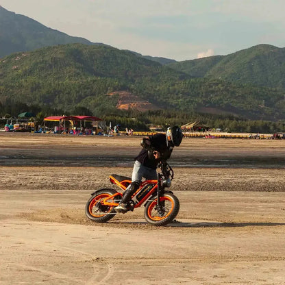 Bluvall SU8 Electric Bike