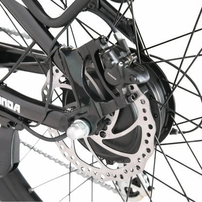 Bici elettrica passo-passo CYSUM Panda