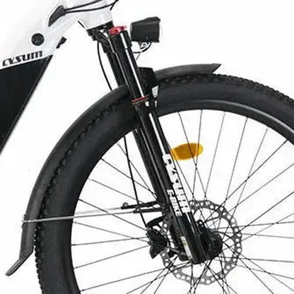 Bici elettrica passo-passo CYSUM Panda