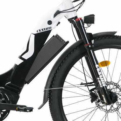 Bici elettrica passo-passo CYSUM Panda