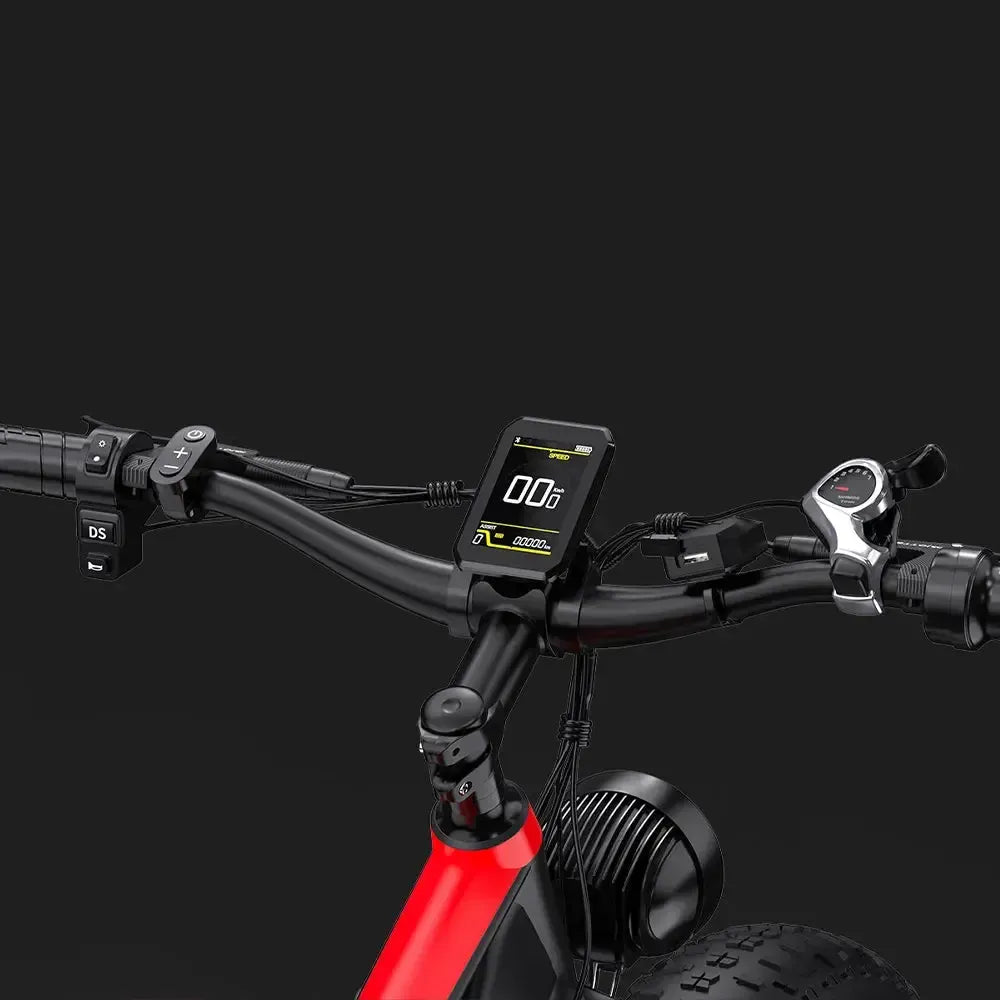 DUOTTS S26 Electric Bike