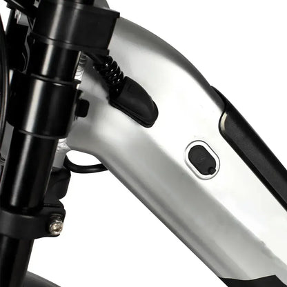 DriveTron DP2033 Dual Electric Bike