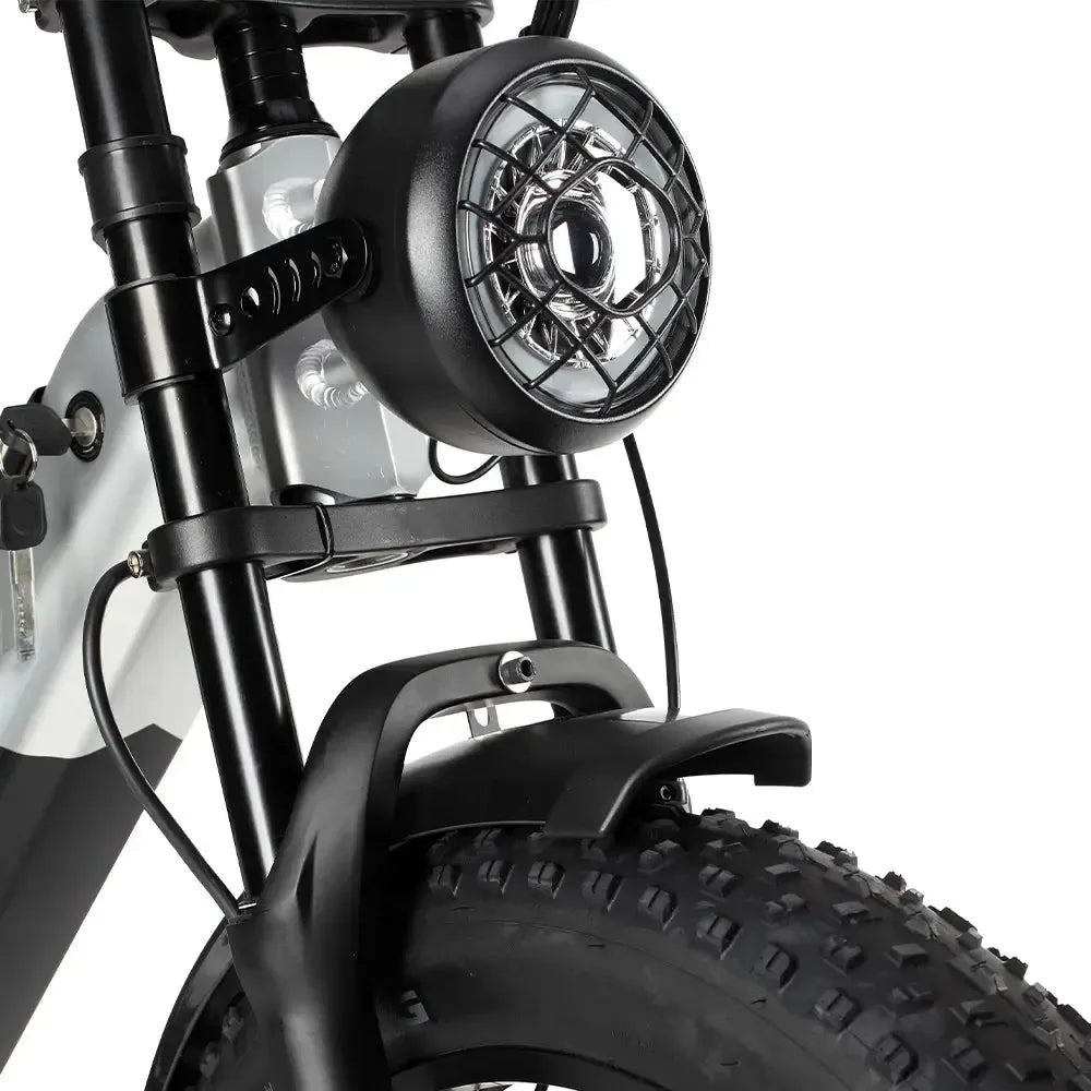 DriveTron DP2033 Dual‑Motor 2 × 1,000 W Fat‑Tire E‑Bike – 48 V 30 Ah Battery, Up to 150 km (90 mi) PAS Range, 50 km/h (31 mph) Top Speed, 20″×4.0″ Tires, Dual Hydraulic Disc Brakes
