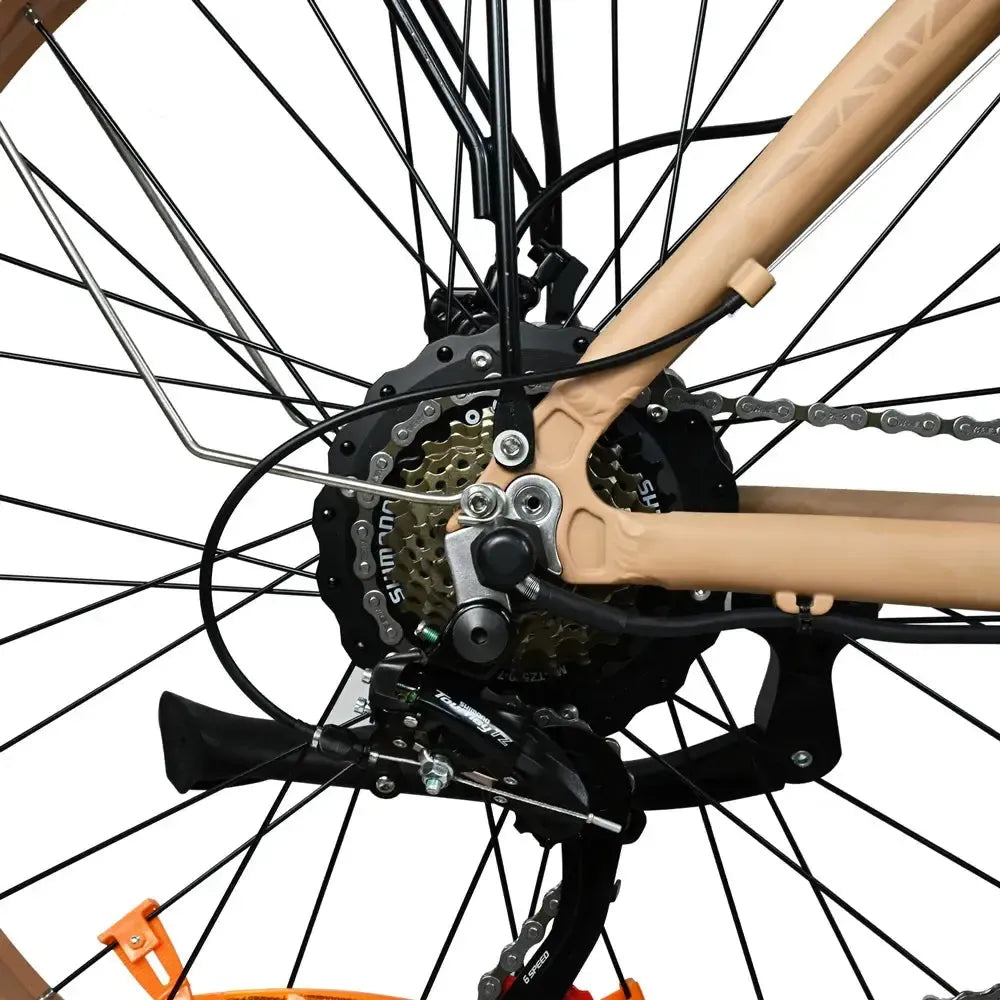 DriveTron DP2602 Electric Bike