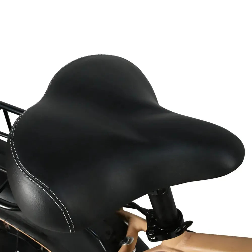 DriveTron DP2602 Electric Bike