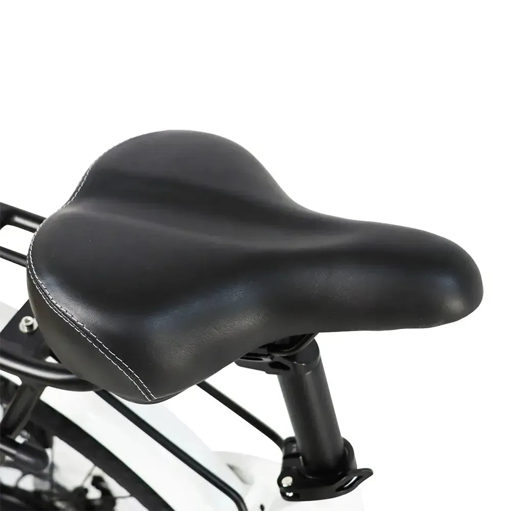 DriveTron DS2608 Electric Bike