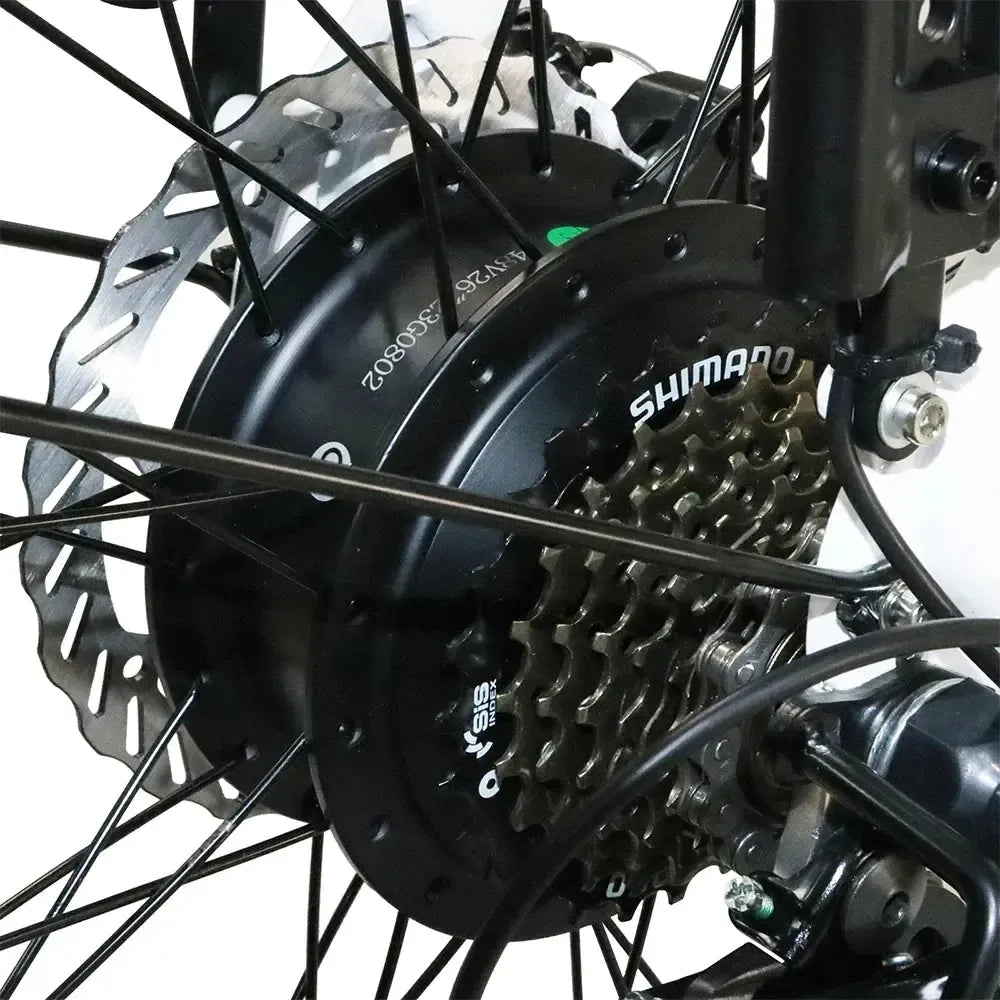 DriveTron DS2608 Electric Bike