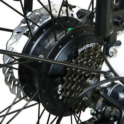 DriveTron DS2608 Electric Bike