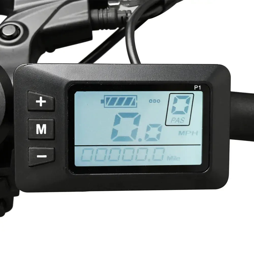 DriveTron DZ2002 Electric Bike