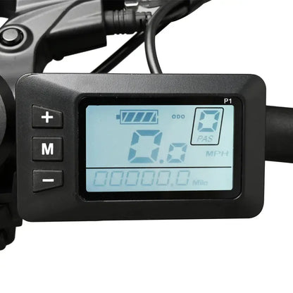 DriveTron DZ2002 Electric Bike