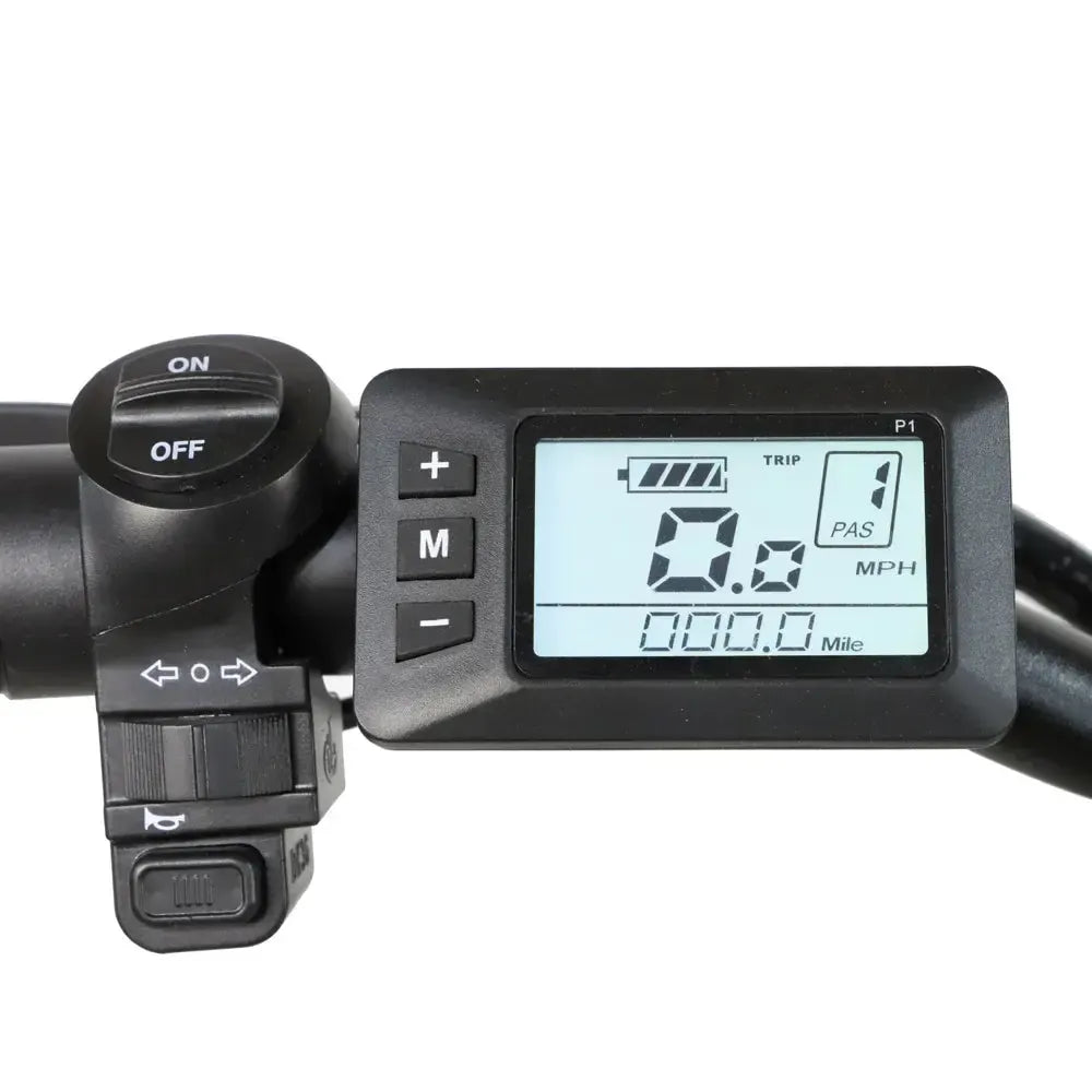DriveTron DZ2030 Electric Bike