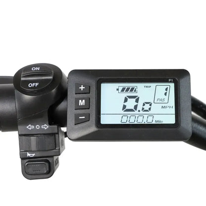 DriveTron DZ2030 Electric Bike
