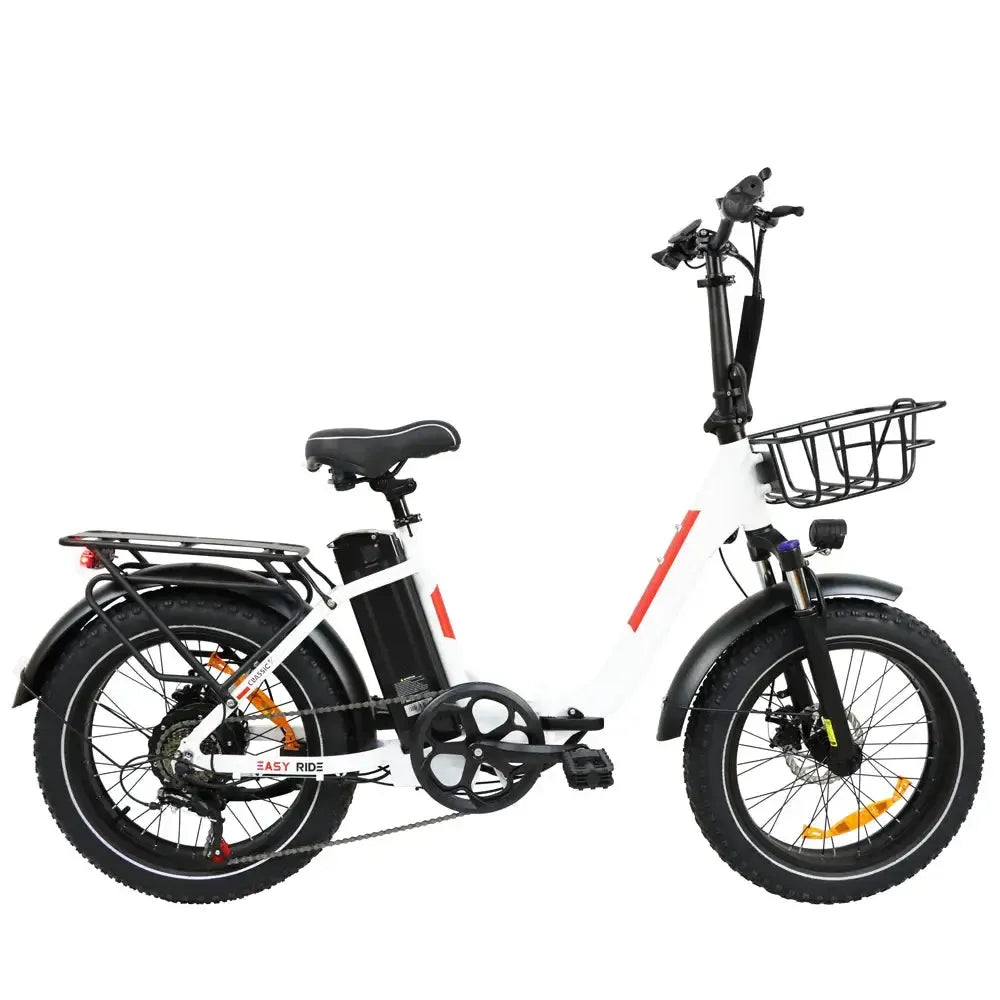 DriveTron DZ2030 Electric Bike – 500W Rear-Hub Motor, 20″ × 4.0″ Fat Tires, 48V 13Ah Battery, Up to 40 km/h (25 mph), 35–45 km (22–28 mi) Range, Shimano 7-Speed, Folding Frame, Rear LED Light