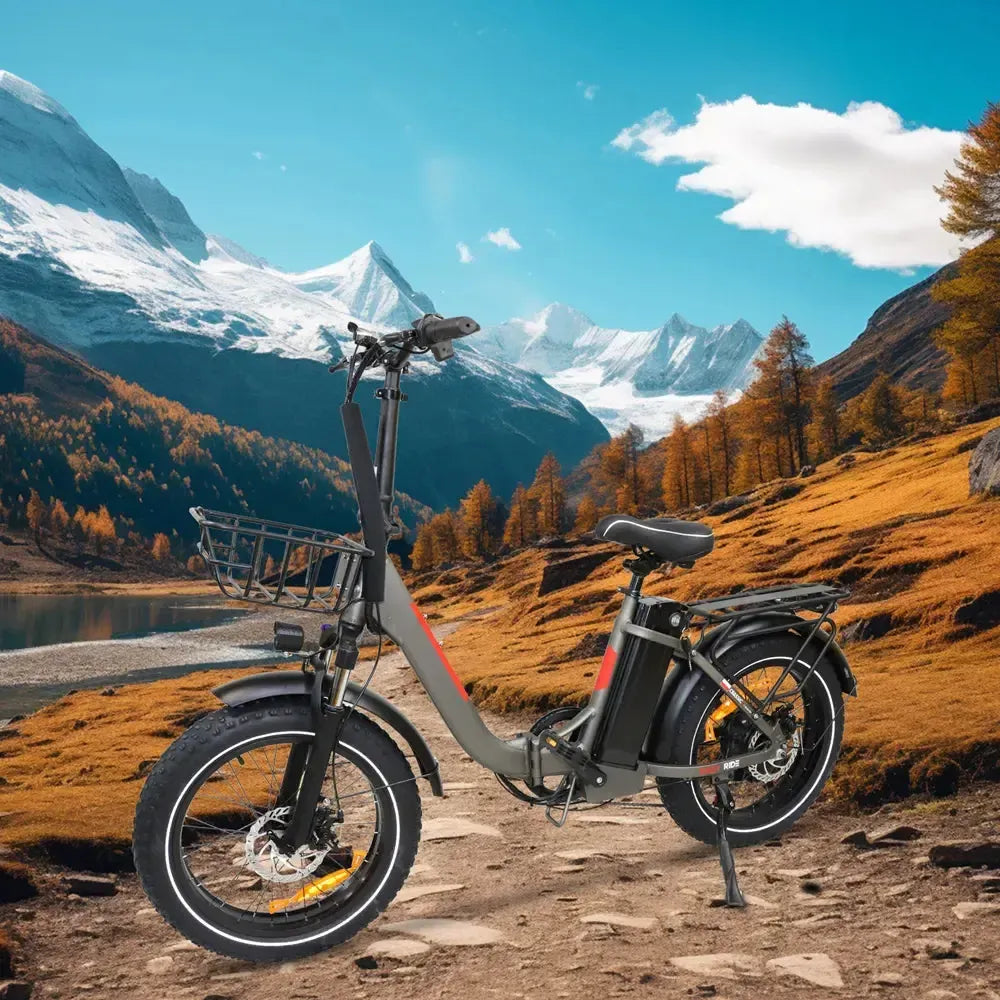 DriveTron DZ2030 Electric Bike – 500W Rear-Hub Motor, 20″ × 4.0″ Fat Tires, 48V 13Ah Battery, Up to 40 km/h (25 mph), 35–45 km (22–28 mi) Range, Shimano 7-Speed, Folding Frame, Rear LED Light