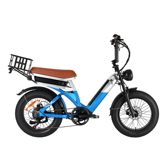 DriveTron DP-2033 Moped Style