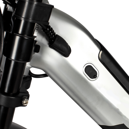 DriveTron DP-2033 Moped Style
