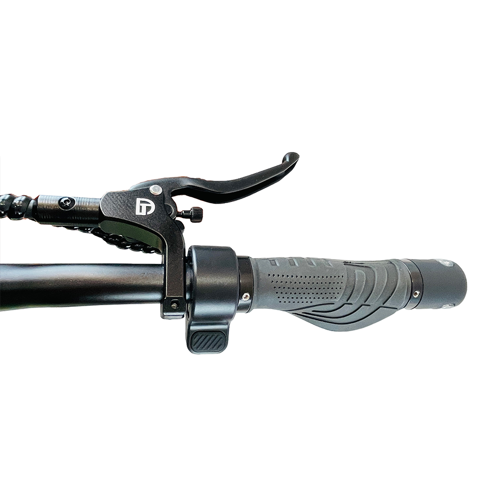 DriveTron DT06-60V - Dual