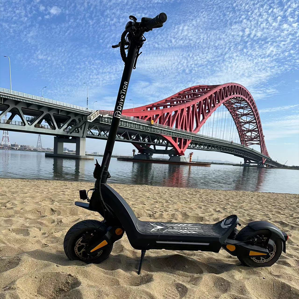 DriveTron DT06-60V - Dual