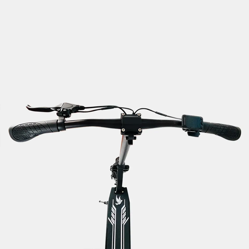DriveTron DT08-36v Electric Scooter