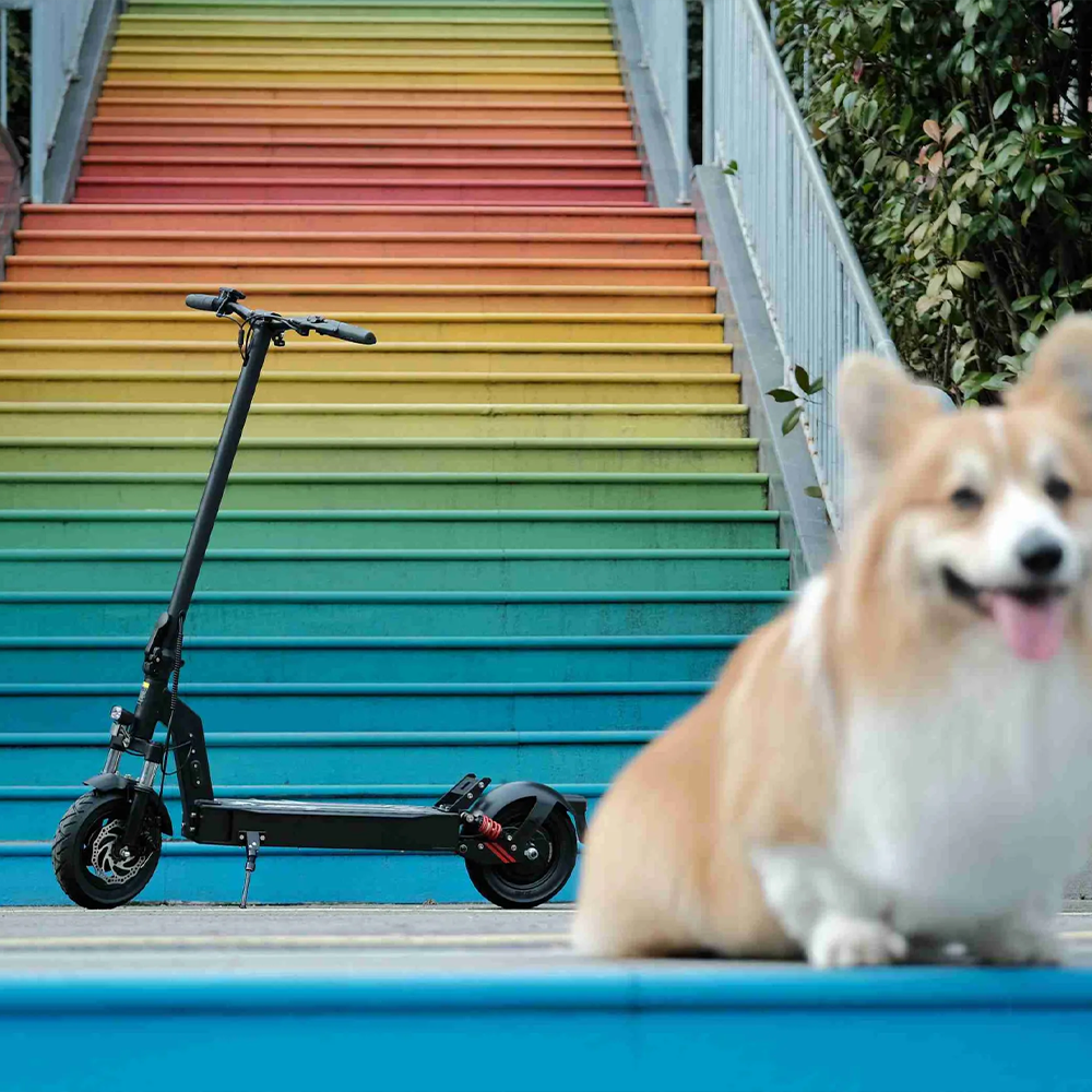 DriveTron DT08-36v Electric Scooter