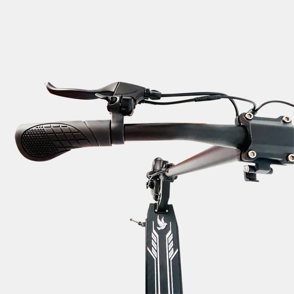 DriveTron DT08-36v Electric Scooter