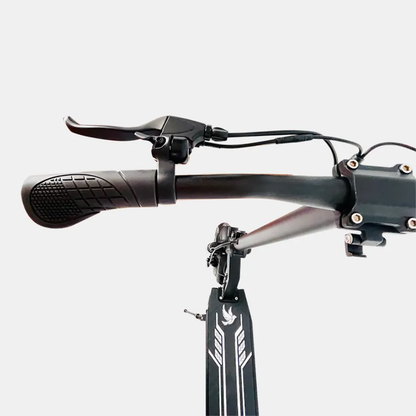 DriveTron DT08-36v Electric Scooter