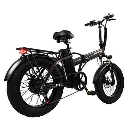 DriveTron DZ2002 750W