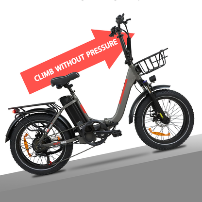 DriveTron DZ2030