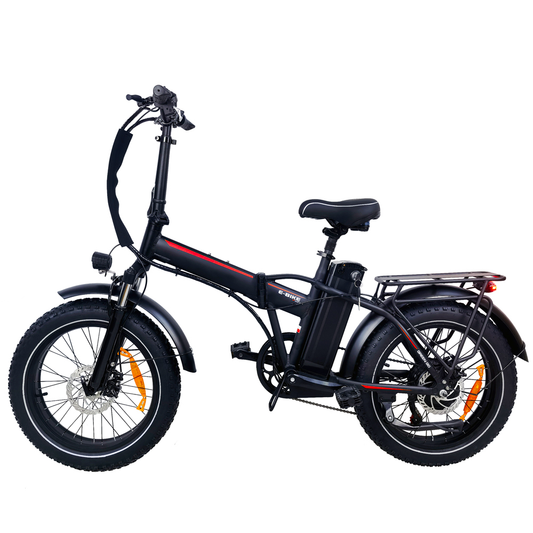 DriveTron DZ2031 Electric Bike
