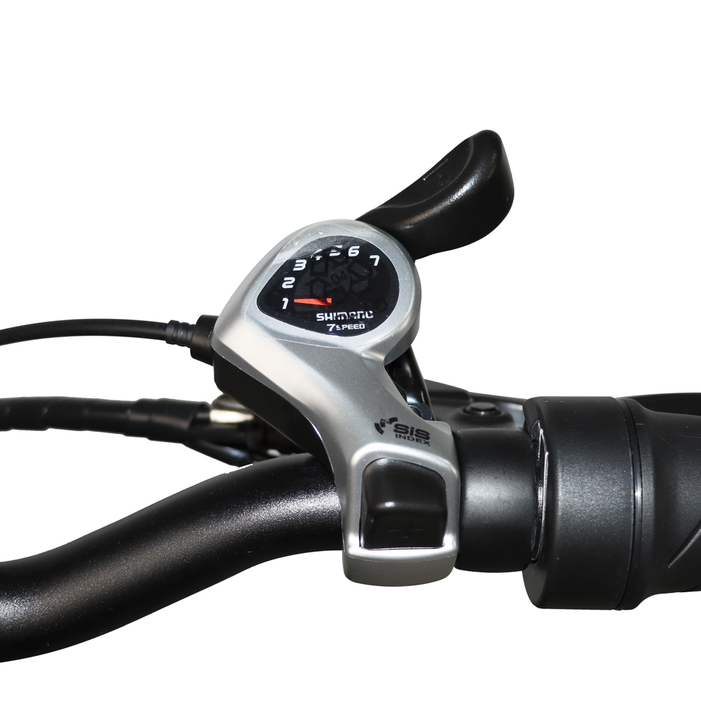 DriveTron DZ2031 Electric Bike