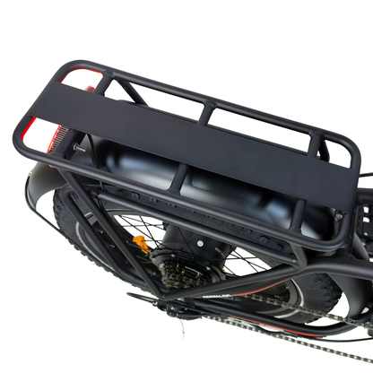 DriveTron DZ2031 Electric Bike
